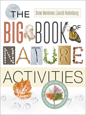 cover image of The Big Book of Nature Activities